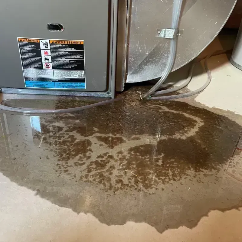 Appliance Leak Cleanup in Edina, MO